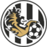 贺拉戴克U19logo